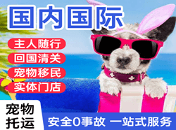 济宁大安航空空运国际宠物托运 【国